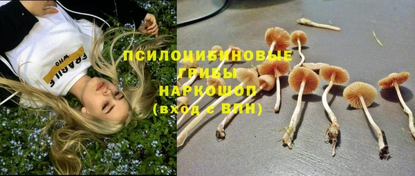 СК Бородино
