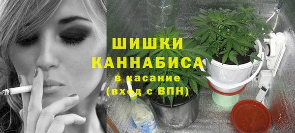 СК Бородино