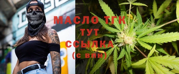 СК Бородино
